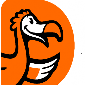 DoDo pitssa
